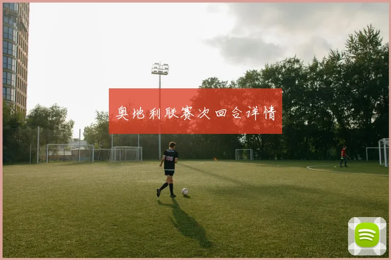 奥地利联赛次回合详情