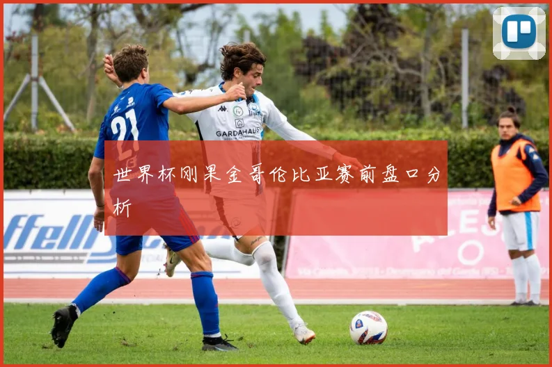世界杯刚果金哥伦比亚赛前盘口分析