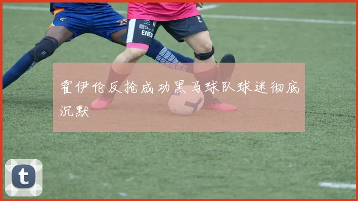 霍伊伦反抢成功黑马球队球迷彻底沉默