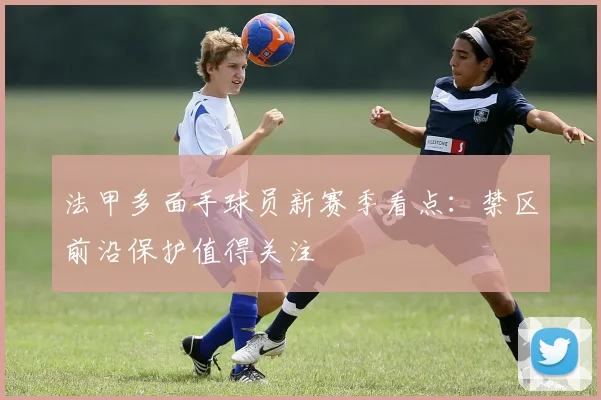 法甲多面手球员新赛季看点:禁区前沿保护值得关注