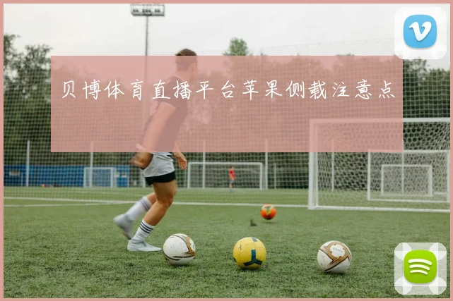 贝博体育直播平台苹果侧载注意点