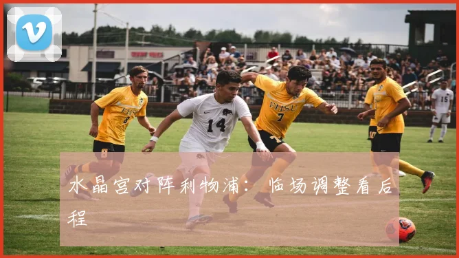 水晶宫对阵利物浦：临场调整看后程