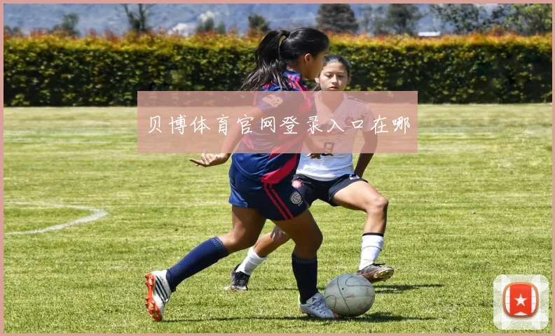 贝博体育官网登录入口在哪